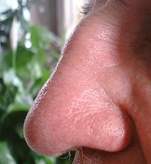 Svědění nosu a kolem nosu